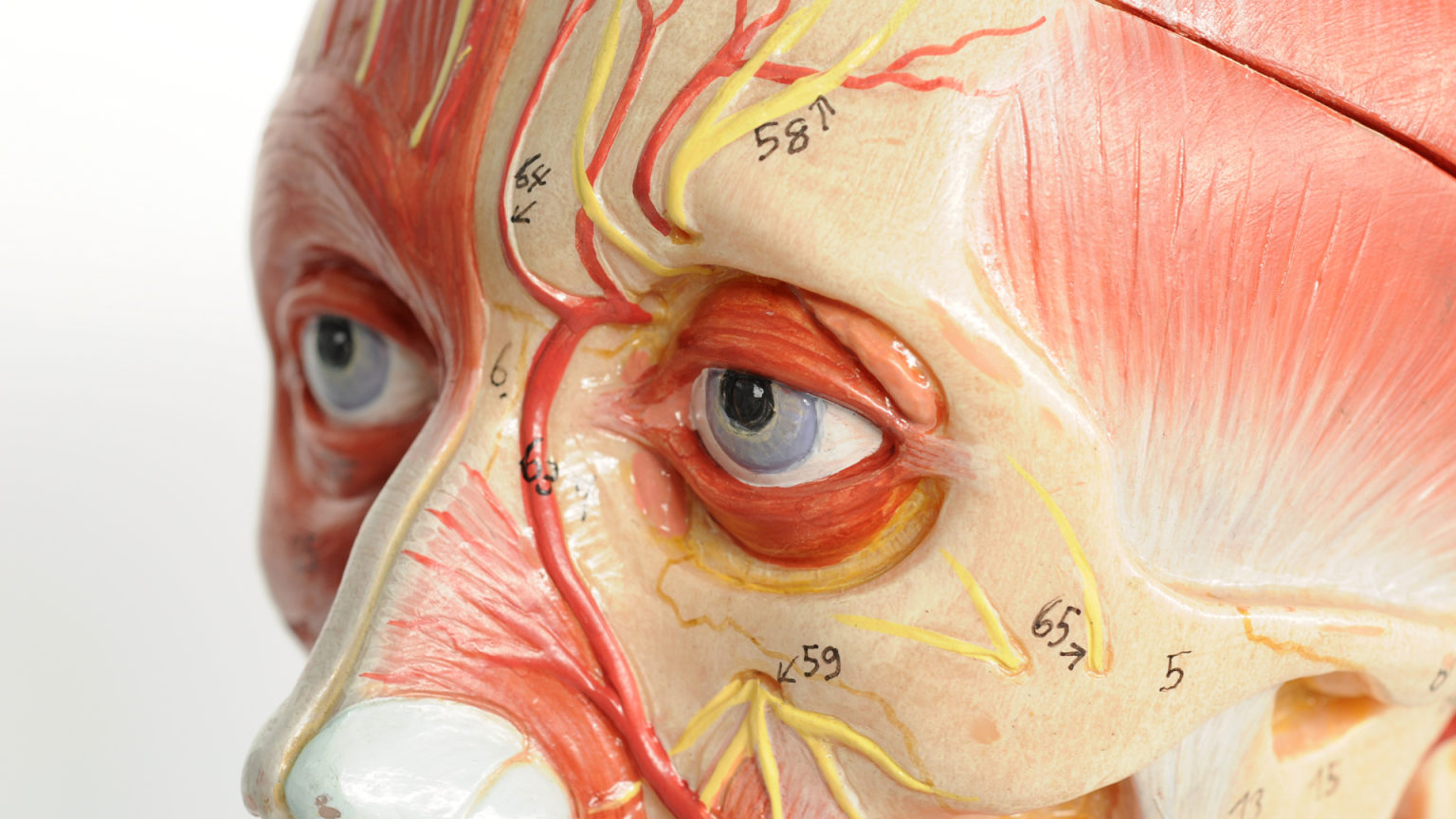 image-81-1536x864